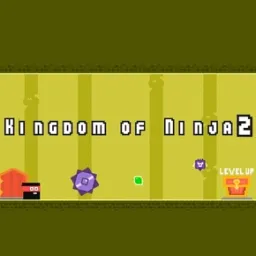 Ninja Dash 2: The Quest Continues