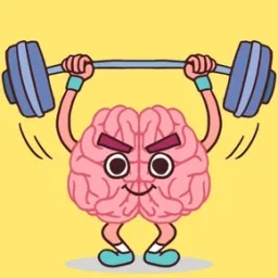 Perfect Brain 3D