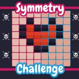 Symmetry Challenge